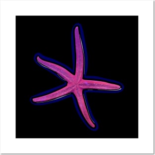 Pink Starfish Posters and Art